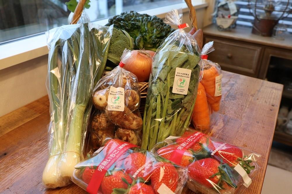 販売している野菜