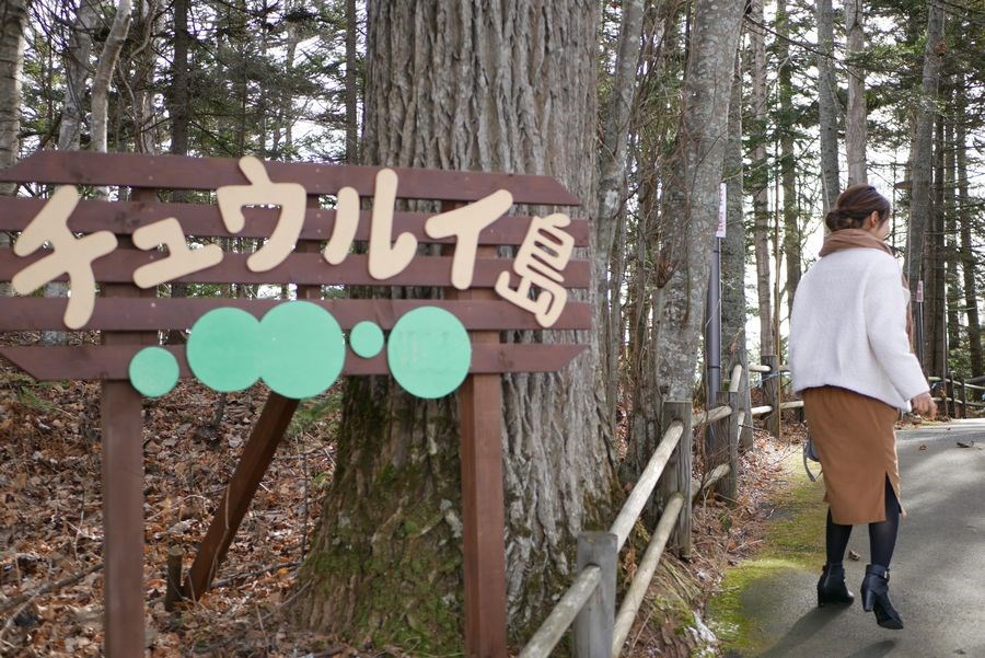 阿寒といえばやっぱりコレ！まりもづくしで癒やしの旅2-1