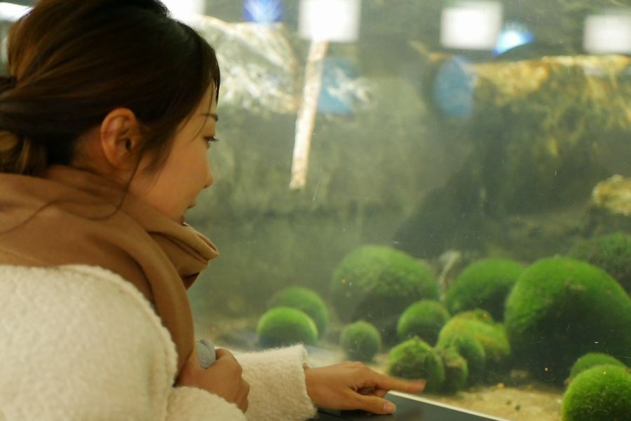 阿寒といえばやっぱりコレ！まりもづくしで癒やしの旅2-5