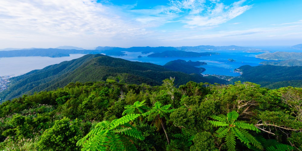 奄美大島