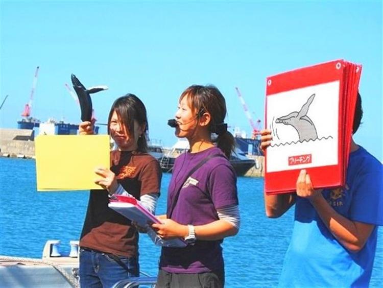 【那覇発】船長が海人だからクジラを見つける技術がピカイチ！圧倒的な操船技術でクジラを間近で見れる可能性大幅アップ！★2019年遭遇率100%