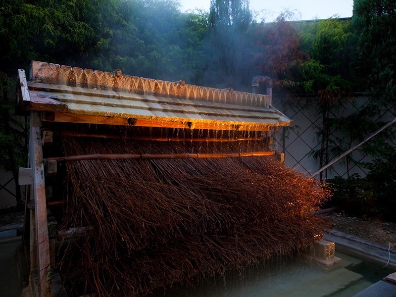 湯雨竹