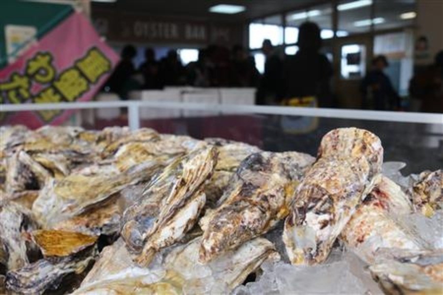 “地元で採れた牡蠣が食べれるオイスターバルは大人気