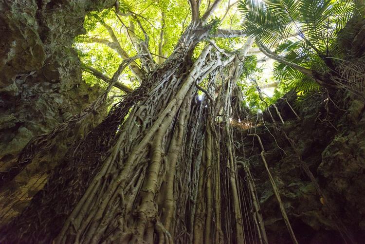 ガンガラーの谷 @OCVB