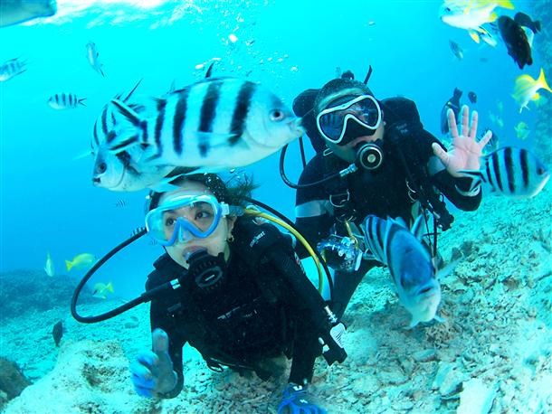 【恩納村発／青の洞窟開催／約2.5時間】体験ダイビング(1ダイブ)