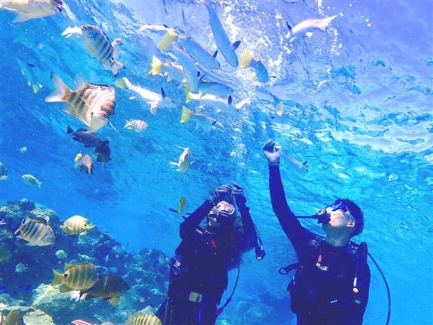 【恩納村発／青の洞窟開催／約2.5時間】体験ダイビング(1ダイブ)