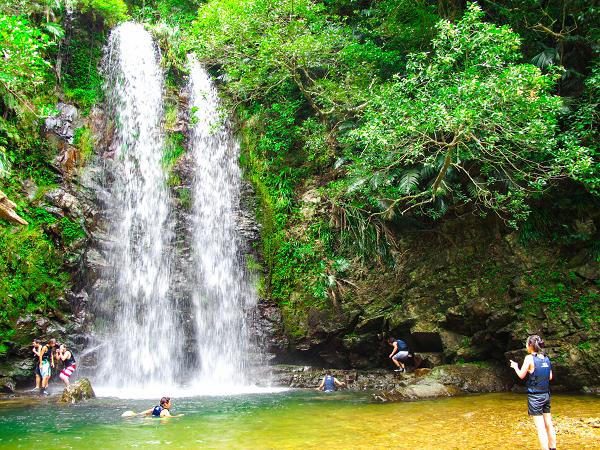 【やんばる(本島北部)／ター滝開催／約3時間】リバートレッキング