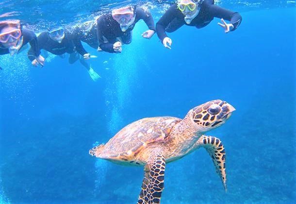 【那覇発／慶良間開催／1日】シュノーケリング