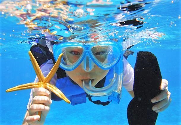 【本島北部発／水納島(みんなじま)開催／半日】シュノーケリング&日帰り離島ツアー