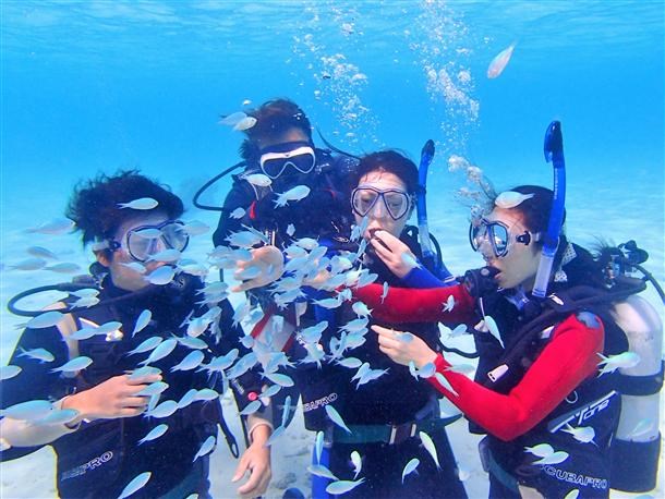 【石垣島発／幻の島開催／約3時間】体験ダイビング(1ダイブ)