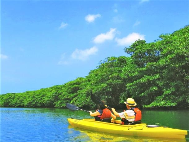 【石垣島or西表島発／西表島開催／1日】マングローブカヤック＆トレッキング