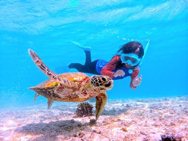 【宮古島／南岸開催／約2時間】シュノーケリング