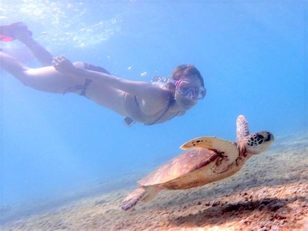 【宮古島／南岸開催／約2時間】スキンダイビング(素潜り)