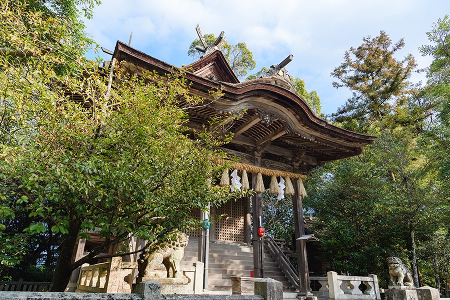 本殿には応神天皇や仲哀天皇、神功皇后の3柱をまつります