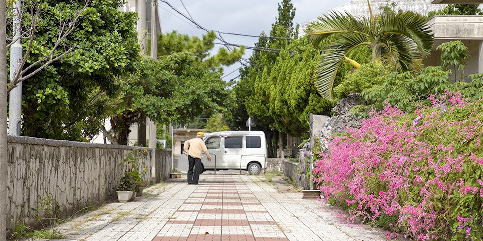 多良間島でピンダ（ヤギ）と触れ合う　島人の日常体験。
