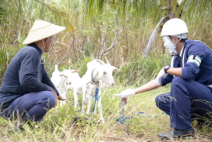 ヤギとのふれあい