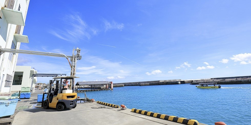 漁師町「伊良部・佐良浜」でカツオ漁と仲買人の一日に密着。