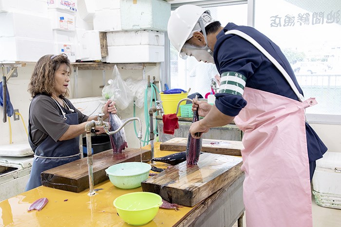 カツオ切る写真
