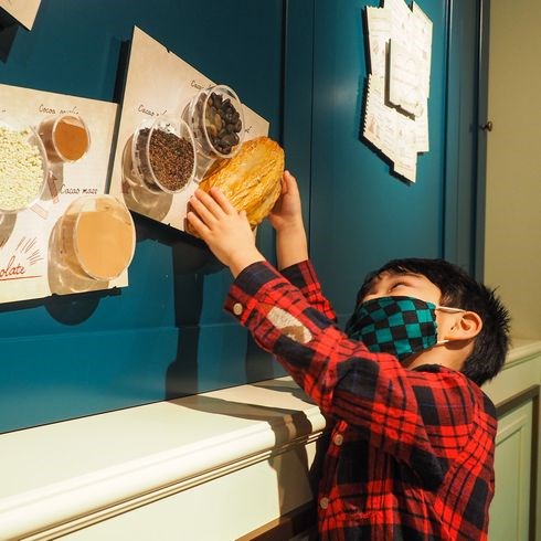 人気の理由がコレ！白い恋人パーク 工場見学の魅力の記事イメージ