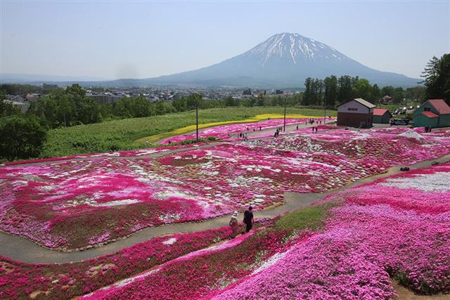 北海道観光情報 たびらい北海道