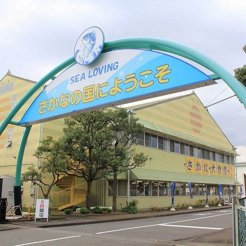 焼津