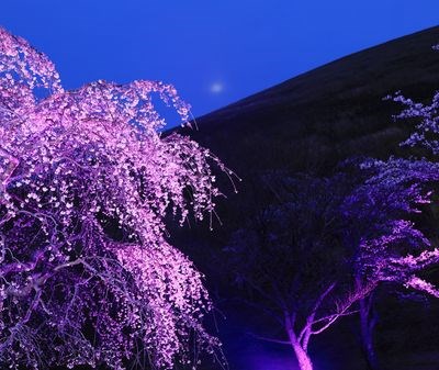 伊豆4月