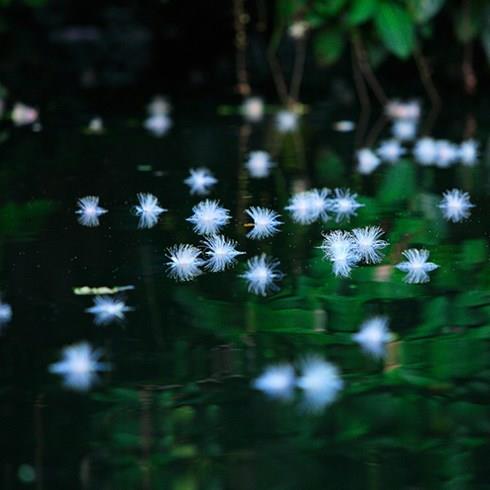 季節や時の移ろいを感じて