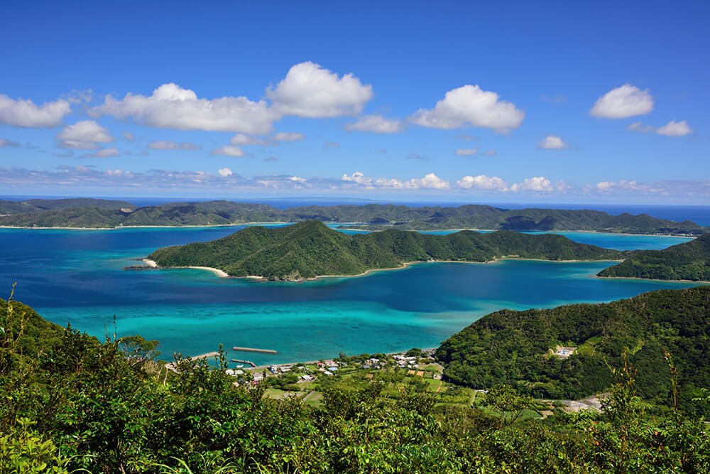 世界自然遺産登録された奄美大島へ行こう