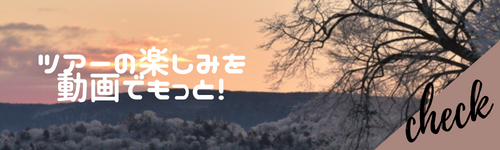 阿寒湖氷上散歩動画バナー