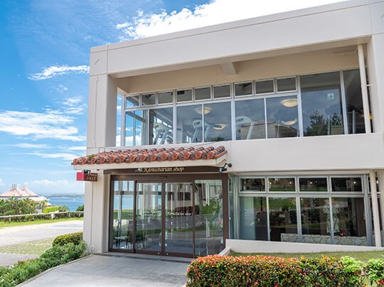 おすすめの泡盛をマイスターが提案1