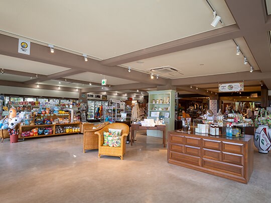 おすすめの泡盛をマイスターが提案2