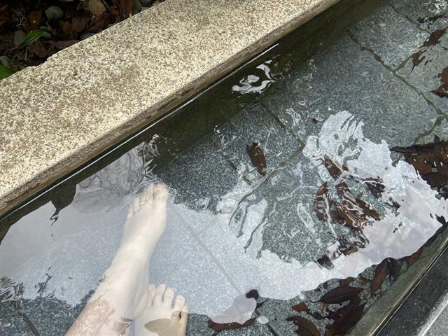 正眼寺5