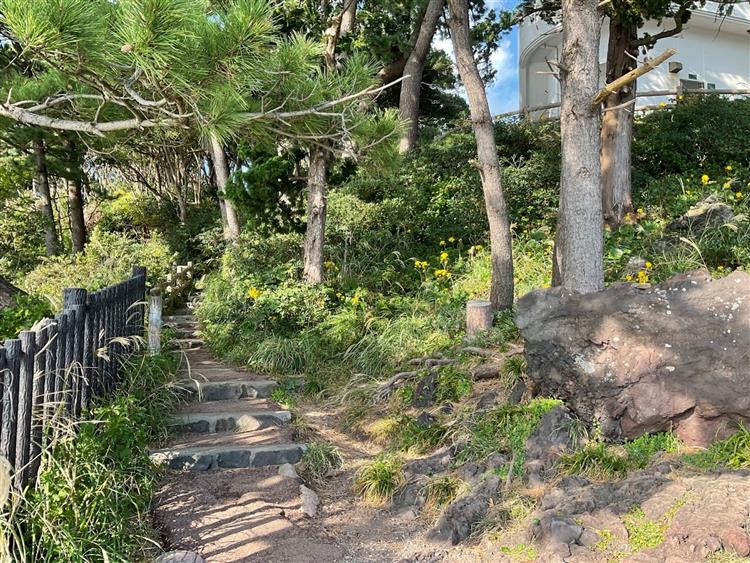 城ヶ崎海岸7