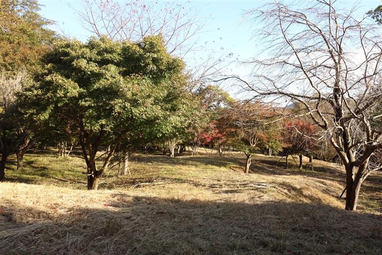 万葉公園付近