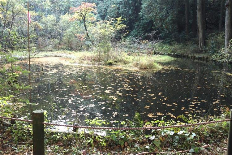 池峯もみじの郷池峯