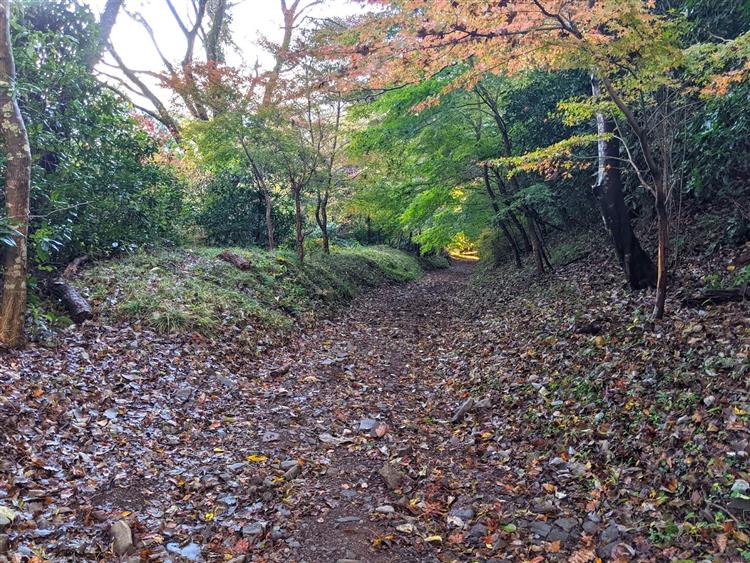 池峯もみじの郷3