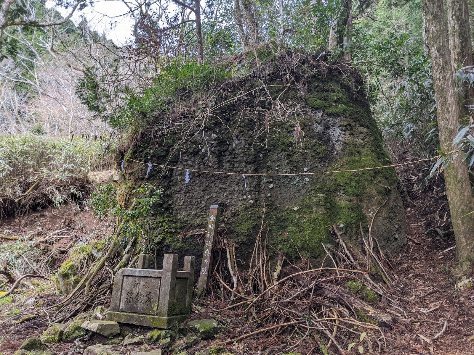 金時山3