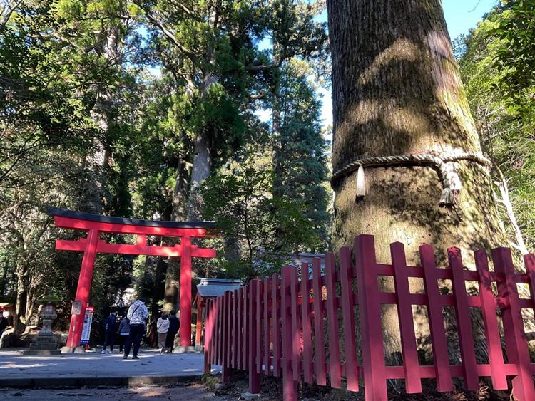 箱根神社2