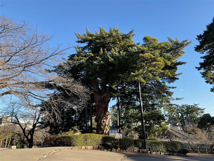 小田原城9