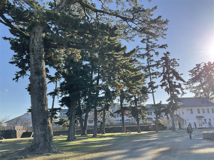 小田原城3