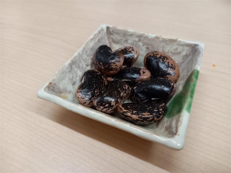 金沢文庫4