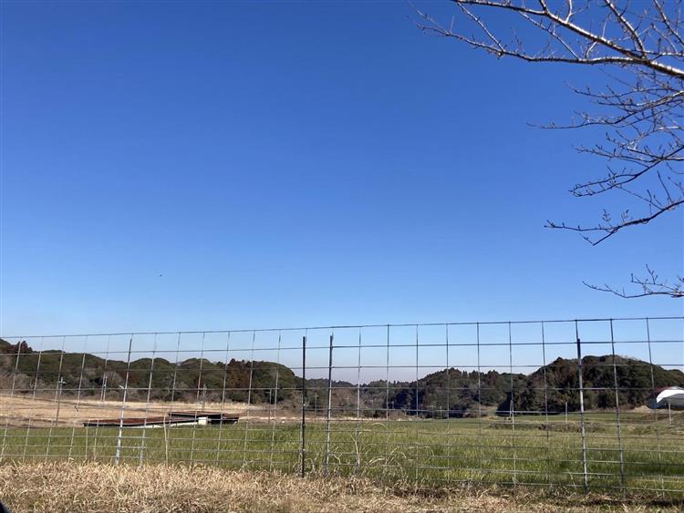 高秀牧場6