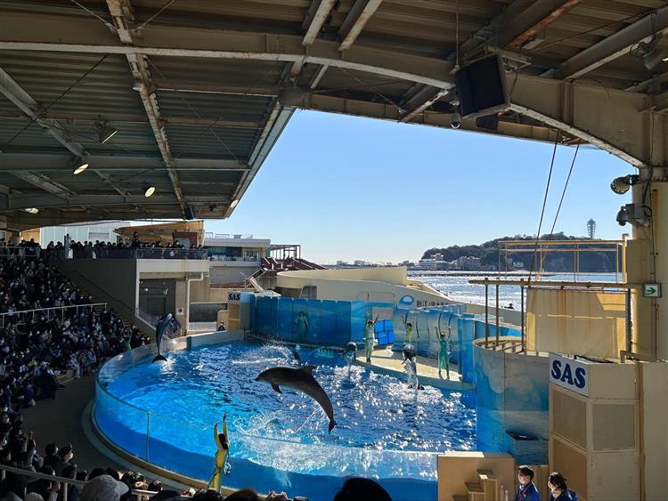 新江ノ島水族館6