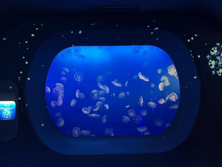 新江ノ島水族館5