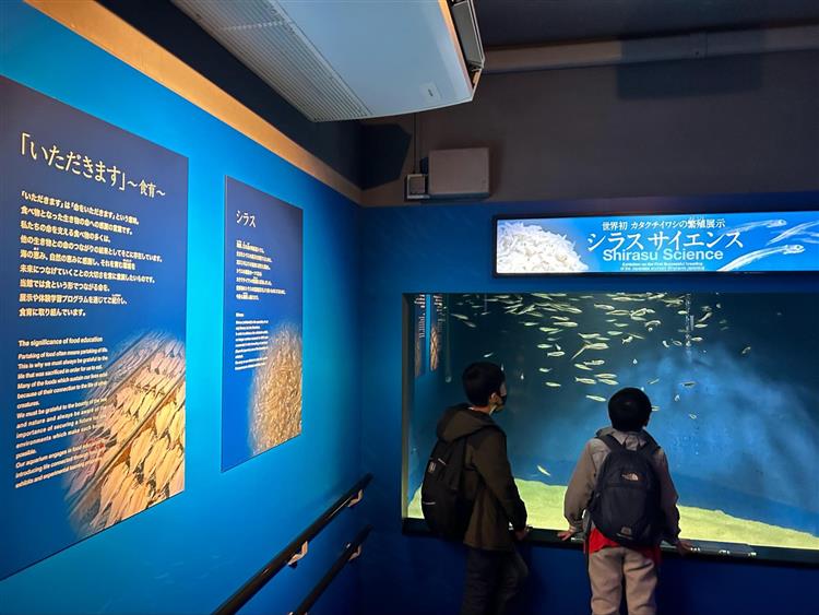 新江ノ島水族館2