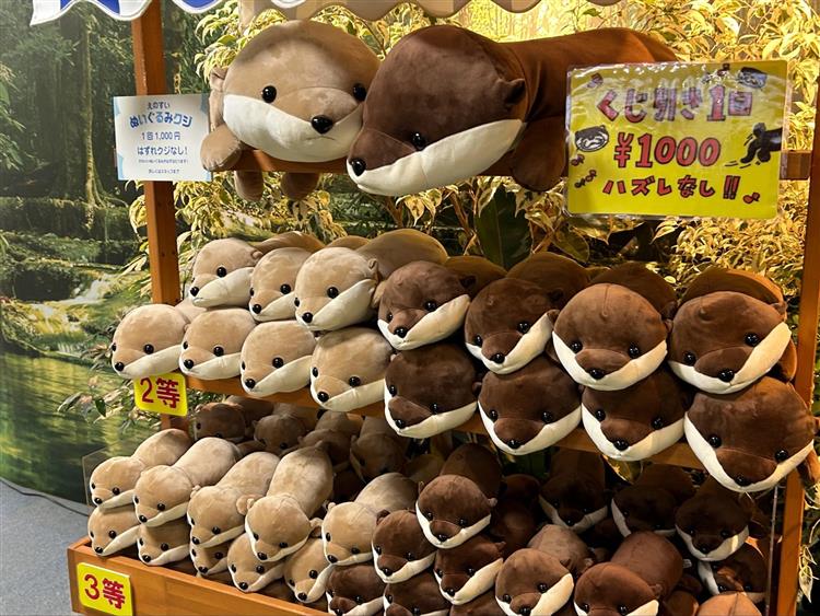 新江ノ島水族館7