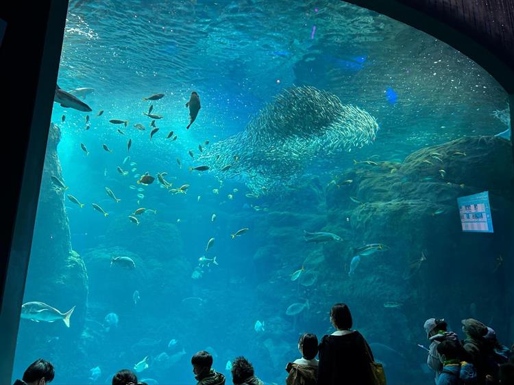 新江ノ島水族館