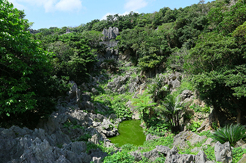 大石林山
