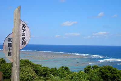 あやまる岬