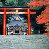 霧島温泉旅行